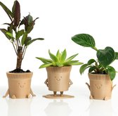 Bloempot, set van 3, vetplantpotten, gemaakt van organisch plastic en houtvezels, plantenbak voor cactussen, gelukkige beste vrienden, cadeau-idee.