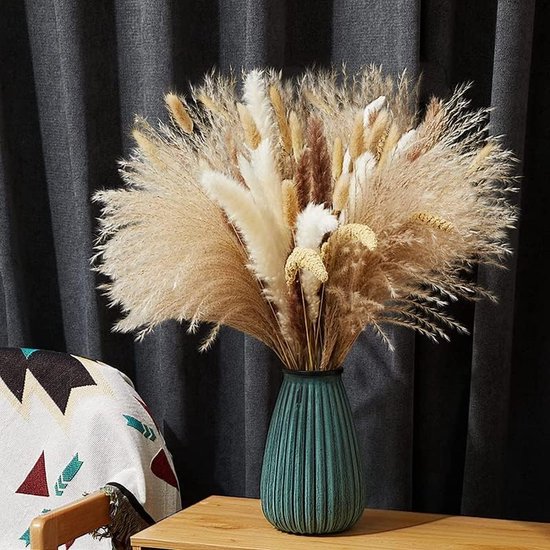 70 Stuks Pampas Gras Gedroogd Natuurlijk Gedroogde Bloemen Deco DIY Droog Bloemen Boeket, Pampas Gras Boeket Rietbloem Deco Ideaal voor Boho Woonkamer