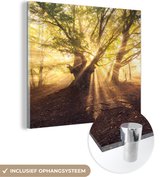 MuchoWow® Glasschilderij 20x20 cm - Schilderij acrylglas - Boom - Bos - Zon - Foto op glas - Schilderijen