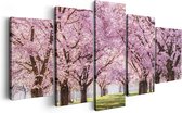 Artaza Canvas Schilderij Vijfluik Roze Bloesembomen Park - Bloemen - 200x100 - Groot - Foto Op Canvas - Canvas Print