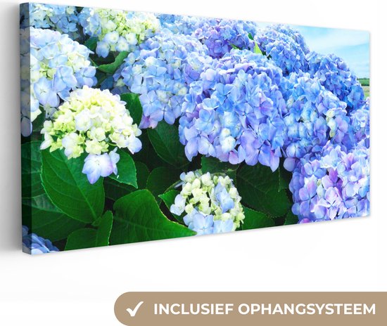 Canvas Schilderij Japanse hortensia bloemen - 40x20 cm - Wanddecoratie