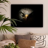 Canvas Schilderij Vogel - Adelaar - Roofvogels - Oog - Snavel - Licht - 80x60 cm - Wanddecoratie