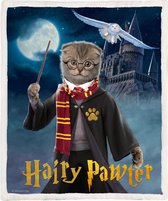 Harry Potter parody Fleece Deken 150*200cm Hairy Pawter