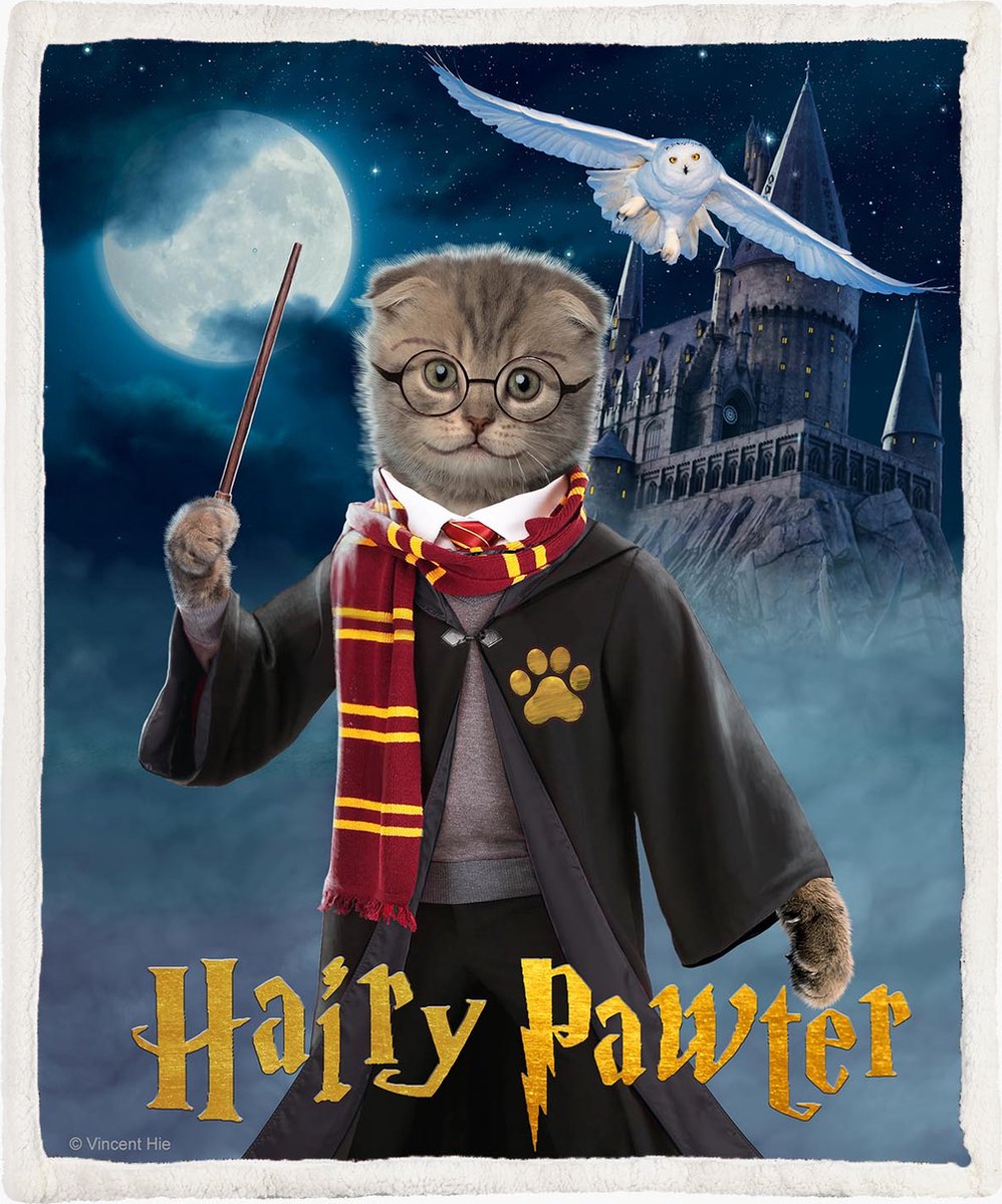 The Coloured House Harry Potter parody Fleece Deken 150*200cm Hairy Pawter Multicolor