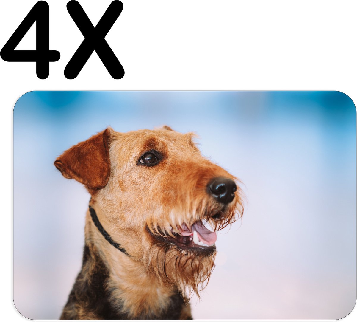 BWK Stevige Placemat - Vrolijke Bruine Terrier Hond - Set van 4 Placemats - 45x30 cm - 1 mm dik Polystyreen - Afneembaar