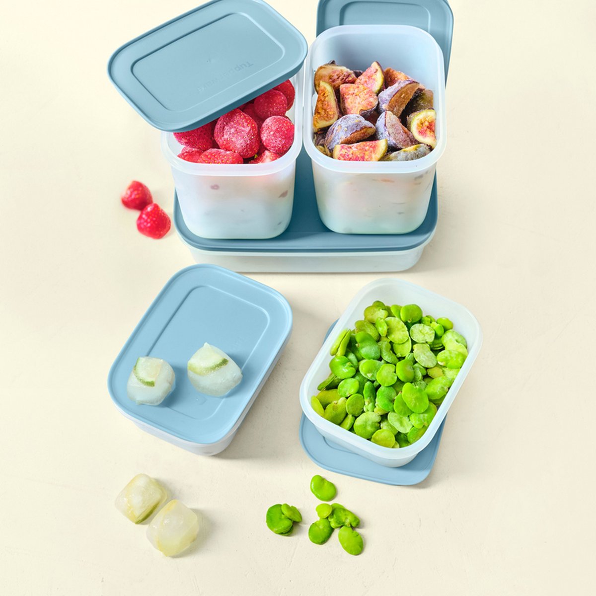 Tupperware Igloo Diepvriesdozen Blauw Set 5 Stuks Alaska 