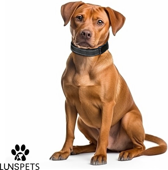 Lunspets Halsband hond - Hondenhalsband - Hondenriem - Reflecterend - Zwart - Waterdicht - Oersterk - Geschikt voor iedere hondenriem - voor Kleine honden - Maat S - Lunspets