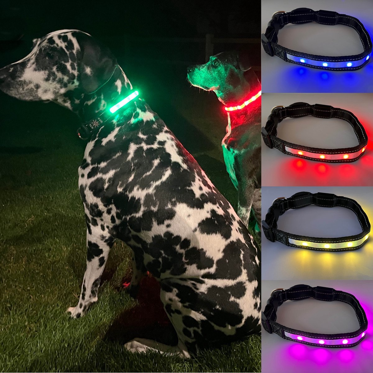 Collier pour chien lumineux - Avec support AirTag - Petit - 9 options de  couleurs 