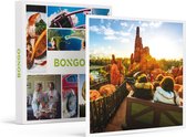Bongo Bon - DISNEYLAND® PARIS: MEDIUM WINTER-TICKETS VOOR 2 PERSONEN EN 1 KIND (1 PARK) - Cadeaukaart cadeau voor man of vrouw