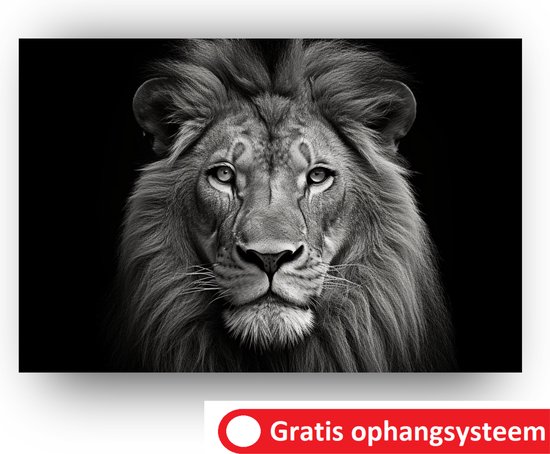 Lion - Tableau plexiglas - Tableau plexiglas Lion - Tableau plexiglas noir et blanc - portrait animaux - Lion Zwart et blanc - 150 x 100 cm 3mm