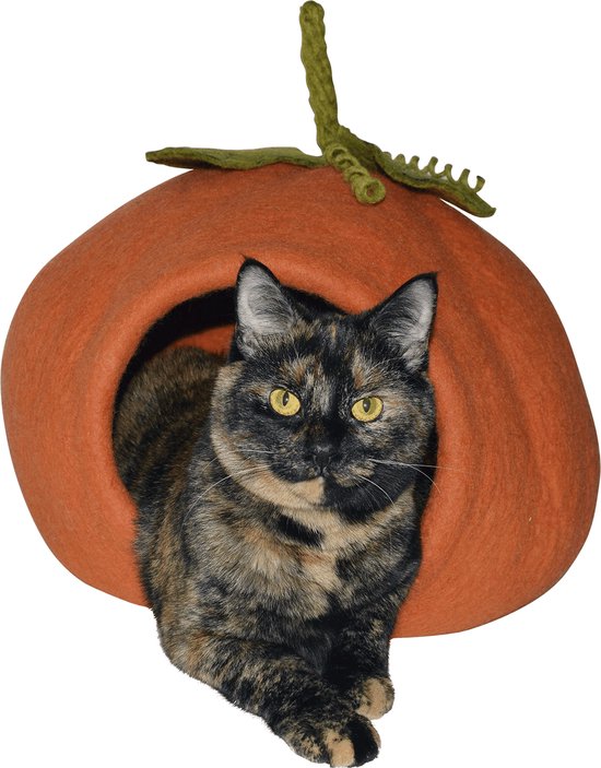 Dharma Dog Karma Cat Ddkcgrotas07 Manden Grot Pompoen Oranje bol