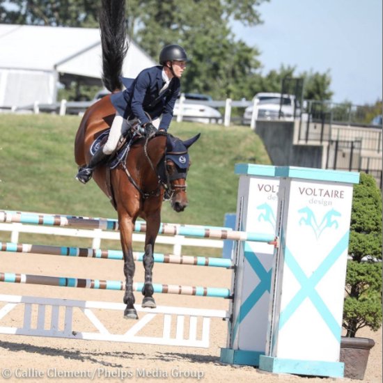 Ruiter te paard in actie tijdens een springconcours; het paard draagt een blauw oornetje.