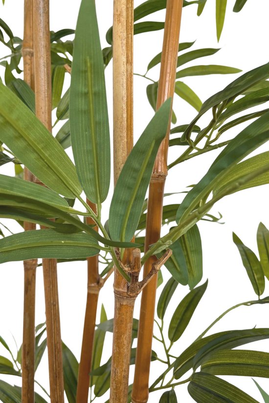 Strelitzia Kunstplant 160 cm kopen? | Snelle levering & scherpe prijzen
