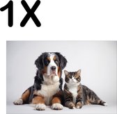 BWK Textiele Placemat - Hond en Kat met Witte Achtergrond - Set van 1 Placemats - 45x30 cm - Polyester Stof - Afneembaar