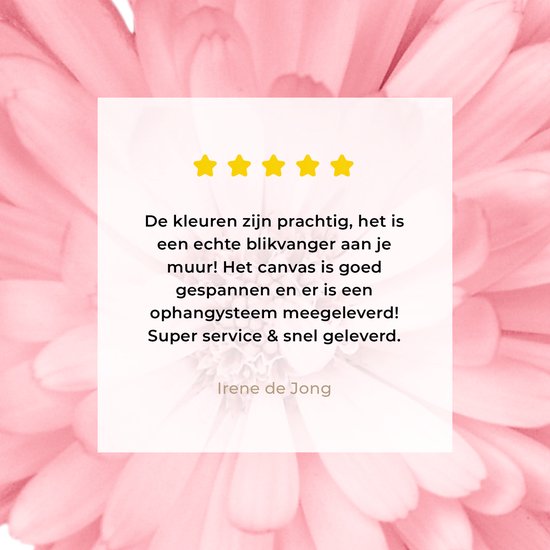 Tableau Fleurs - Rose - Camomille - 20x20 cm - Décoration murale