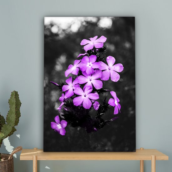 Peintures sur Toile Fleurs - Violet - Zwart - Wit - 40x60 cm - Décoration murale