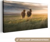 Canvas Schilderij Paarden - Lucht - Gras - 80x40 cm - Wanddecoratie