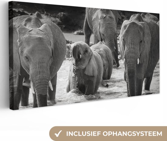 Tableau sur toile Famille éléphants dans l'eau en noir et blanc - 80x40 cm - Art Décoration murale