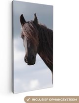 Canvas Schilderij Paarden - Lucht - Portret - 20x40 cm - Wanddecoratie