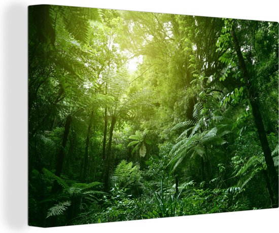 Canvas Schilderij Jungle - Planten - Bladeren - Jongens - Meisjes - Kinderen - 120x80 cm - Wanddecoratie