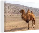 Canvas schilderij 180x120 cm - Wanddecoratie Staande kameel in China - Muurdecoratie woonkamer - Slaapkamer decoratie - Kamer accessoires - Schilderijen