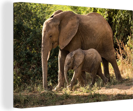 Canvas Schilderij Wandelende baby olifant met zijn moeder - Wanddecoratie