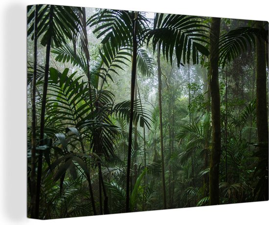 Canvas Schilderij Regenwoud - Tropisch - Jungle - Bomen - Planten - 90x60 cm - Wanddecoratie