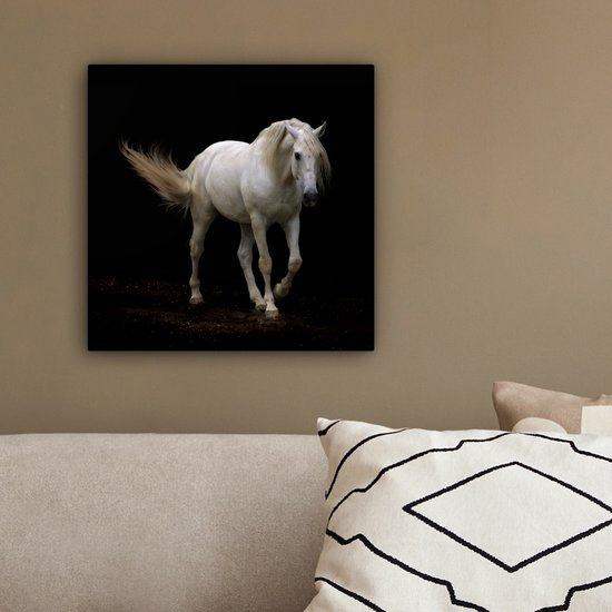 Cheval Wit devant une toile de fond noir 2cm 20x20 cm - petit - Tirage photo sur Toile (Décoration murale salon / chambre) / Animaux sauvages Peintures sur toile
