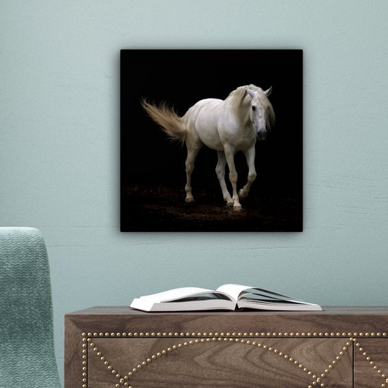Cheval Wit devant une toile de fond noir 2cm 20x20 cm - petit - Tirage photo sur Toile (Décoration murale salon / chambre) / Animaux sauvages Peintures sur toile