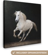 Canvas Schilderij Paarden - Zwart - Portret - 20x20 cm - Wanddecoratie