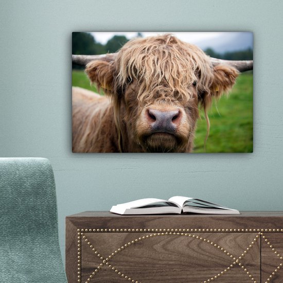 Toile Highlander écossais poilue 2cm