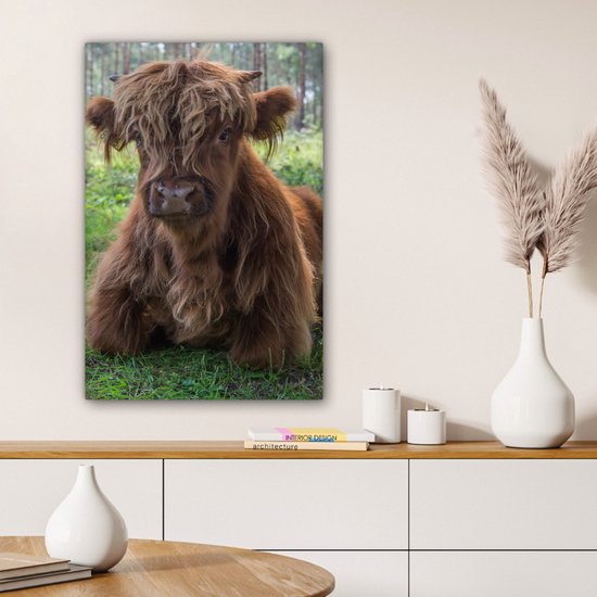 Tableau sur toile Scottish Highlander - Crapaud - Animaux - 60x90 cm - Décoration murale