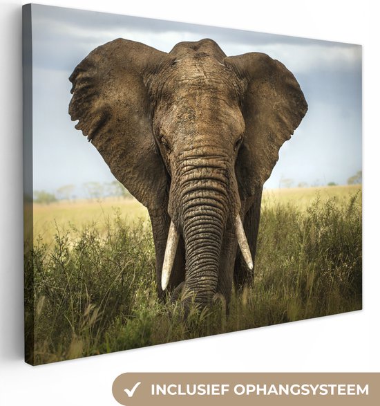 Canvas schilderij - Olifant portret 40x30 - Kamer decoratie accessoires natuur - Schilderijen woonkamer - Wanddecoratie slaapkamer dieren - Muurdecoratie keuken - Wanddoek binnen - Wall decoration - Woondecoratie huis - Woonaccessoires