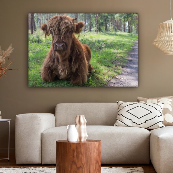 Tableau sur Toile Scottish Highlander - Crapaud - Animaux - 120x80 cm - Décoration murale