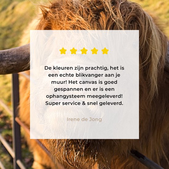 Peinture sur toile Highlander écossais - Clôture - Herbe - 30x20 cm - Décoration murale