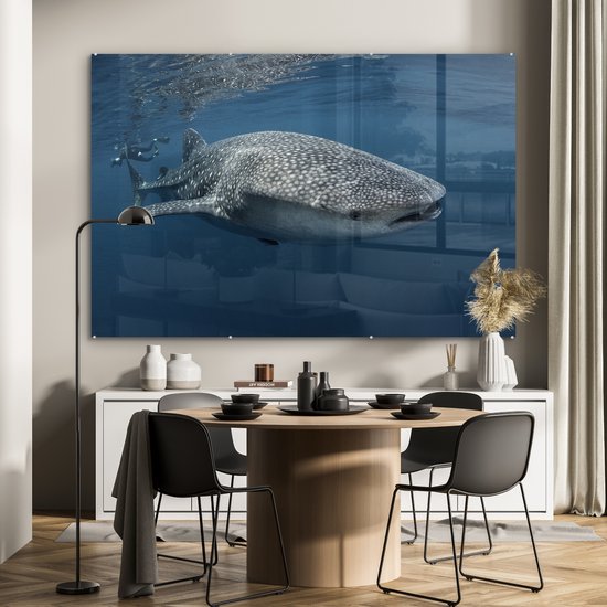 Peinture sur verre - Requin baleine nageant à la surface - 180x120 cm - Peintures sur Verre Peintures - Photo sur Glas