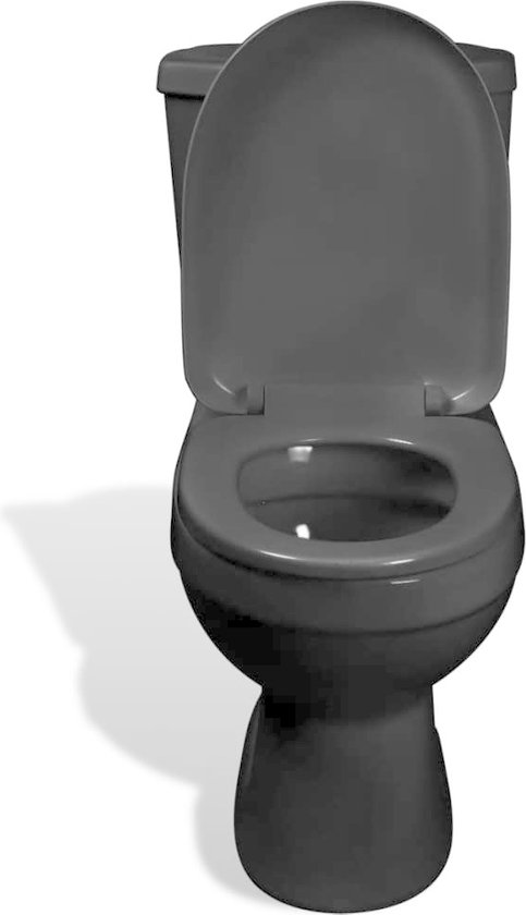 vidaXL Toilet met stortbak zwart | bol.com