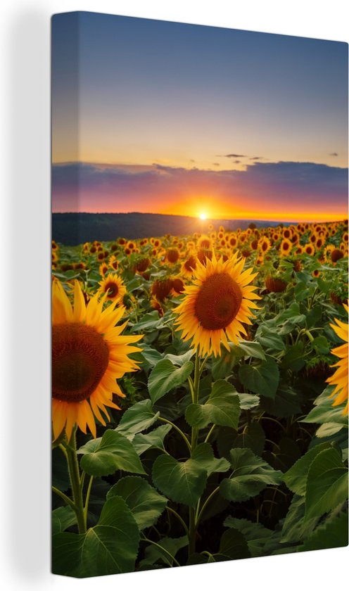 Peinture sur toile - Photo sur toile - Tournesol - Fleurs - Nuages ​​- Ciel - Lumière du soleil - Décoration de chambre - Fleurs sur toile - 120x180 cm - Chambre