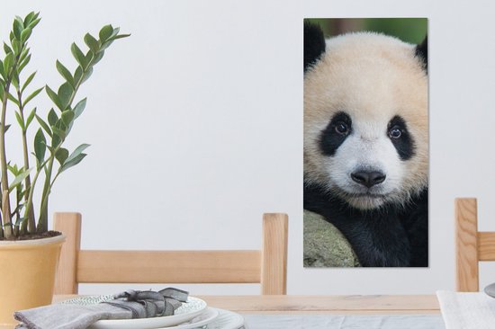 OneMillionCanvasses - Canvas - Panda - Steen - Natuur - Muurdecoratie - 20x40 cm - Canvas schilderij - Canvas doek