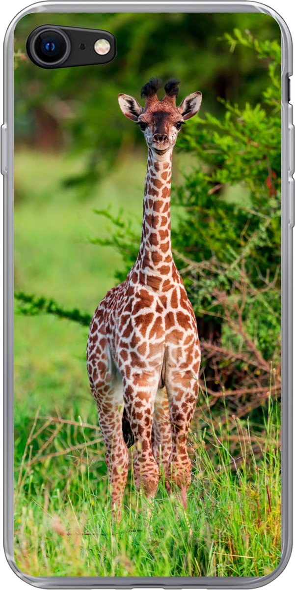 Telefoonhoesje Geschikt voor iPhone SE 2022 hoesje - Baby - Giraffe - Planten - Siliconen Telefoonhoesje Telefoonhoesje