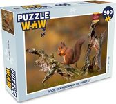 Puzzel Rode eekhoorn in de herfst - Legpuzzel - Puzzel 500 stukjes