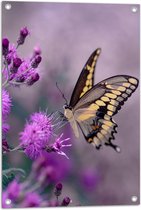 WallClassics - Tuinposter – Vlinder op Paarse Bloem - 50x75 cm Foto op Tuinposter  (wanddecoratie voor buiten en binnen)