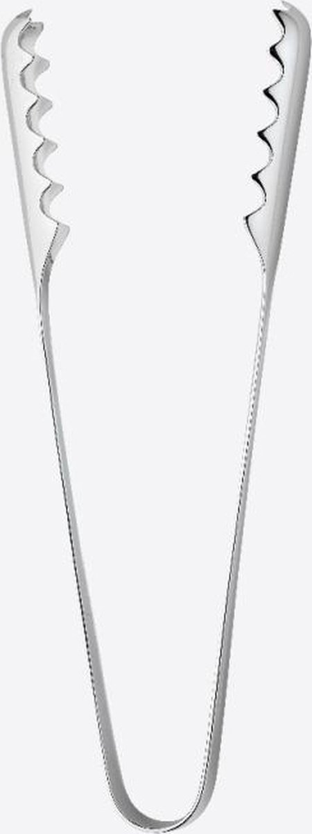 Robert Welch Radford ijstang uit rvs 17cm