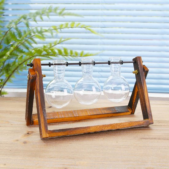 Sziqiqi Plant Propagation Station Glazen Vaas - 12,5cm/21cm Hoog Hydrocultuur Desktop Planter Kleine Terrarium Vazen met Metalen Creatieve Vogelstandaard Moderne Bolvaas voor Woonkamer Tafel
