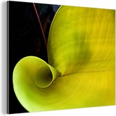 Wanddecoratie Metaal - Aluminium Schilderij Industrieel - Prachtige natuurpatronen van een botanisch blad - 160x120 cm - Dibond - Foto op aluminium - Industriële muurdecoratie - Voor de woonkamer/slaapkamer