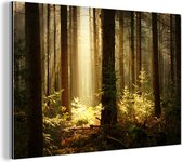 Forêt aux rayons de soleil Aluminium 60x40 cm - Tirage photo sur aluminium (décoration murale en métal)