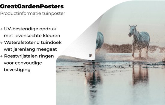 Tuinposter 120x80 cm - Tuindecoratie Wilde witte paarden galopperen door het water in Camargue - Poster voor in de tuin - Buiten decoratie - Schutting tuinschilderij - Tuindoek muurdecoratie - Wanddecoratie balkondoek