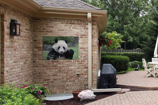 Tuinposters buiten Reuzenpanda - Gras - Stenen - 90x60 cm - Tuindoek - Buitenposter