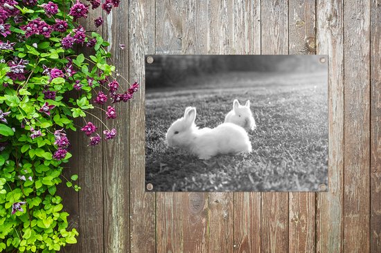 Décoration de Jardin Deux bébés lapins jouant dans l'herbe - noir et blanc - 40x30 cm