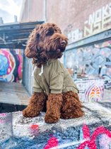 Dogs&Co Honden Sweater Maat S - Hoodie voor honden Army Green
